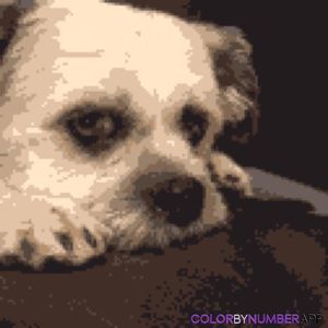 Meet your Posher, Leah